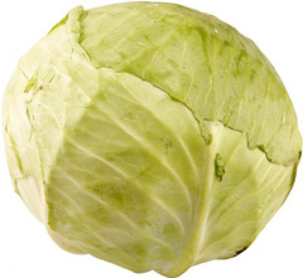 Kapusta biała kg