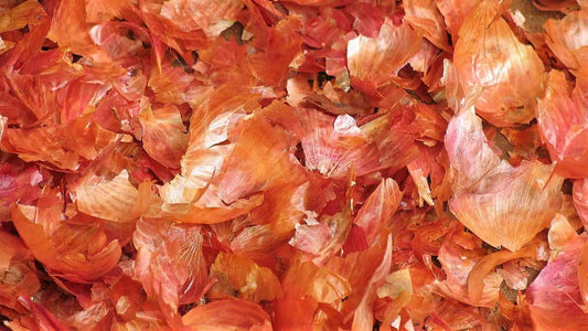 Łuski Cebuli: Zaskakujące Fakty i Ekologiczne Zastosowanie w Domu