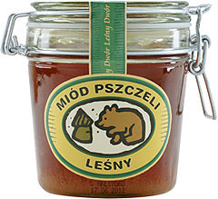 Miód Leśny Dwór leśny