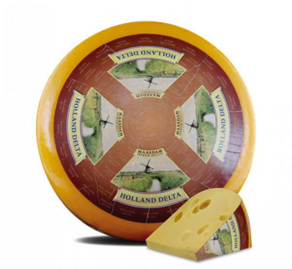 Ser Maasdam Holland delta