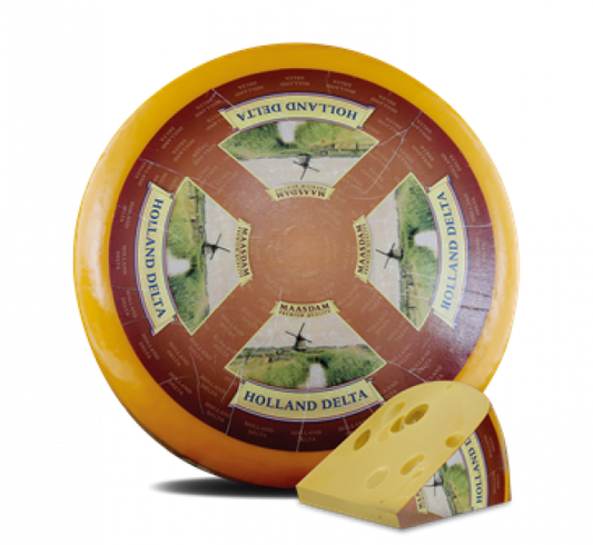 Ser Maasdam Holland delta